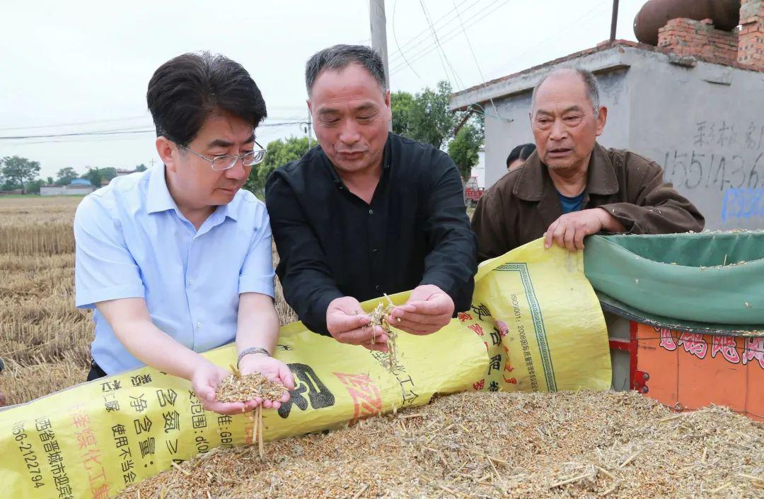 市检察院党组书记、检察长赵艺林到禹州市调研指导麦收工作